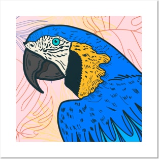 MACAW Posters and Art